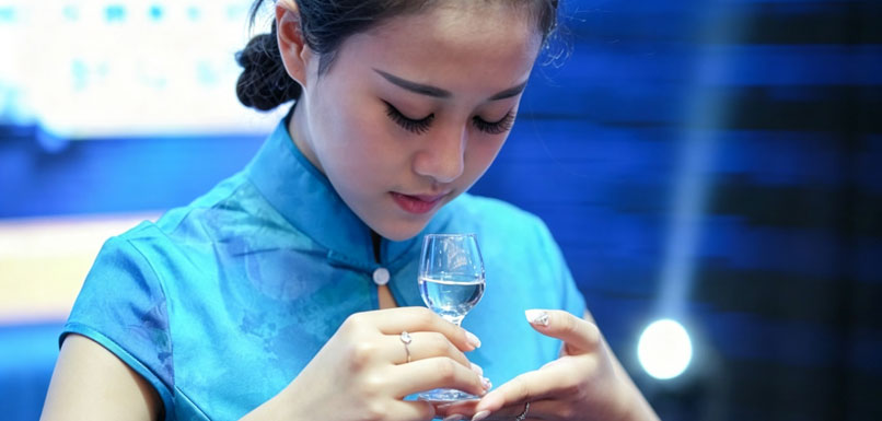 江苏白酒2026年上半年市场评析：筑底分化，龙头韧性凸显
