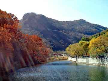 近三年国内花梨木生产、消费市场复盘与前景展望